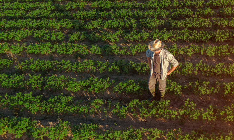 O que é a recuperação judicial para produtor rural?