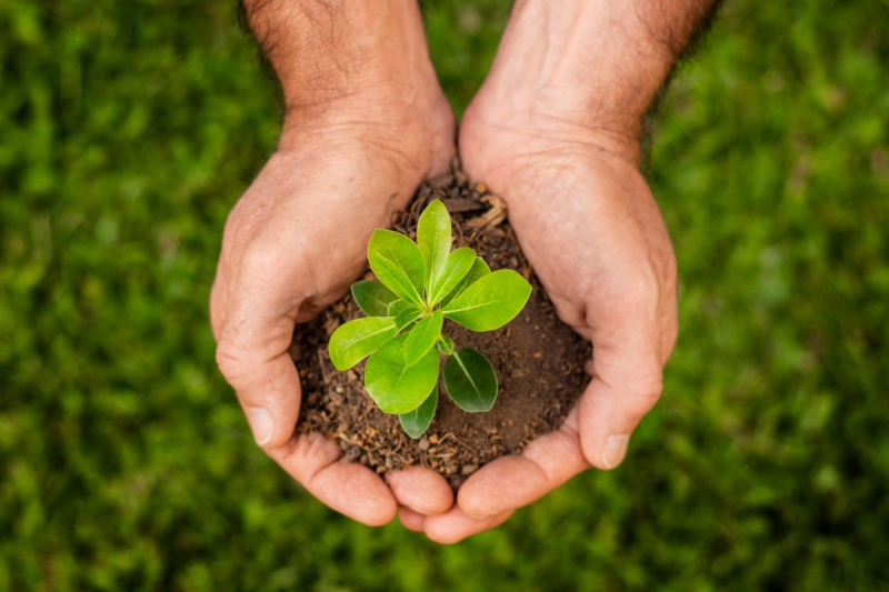 Direito Ambiental